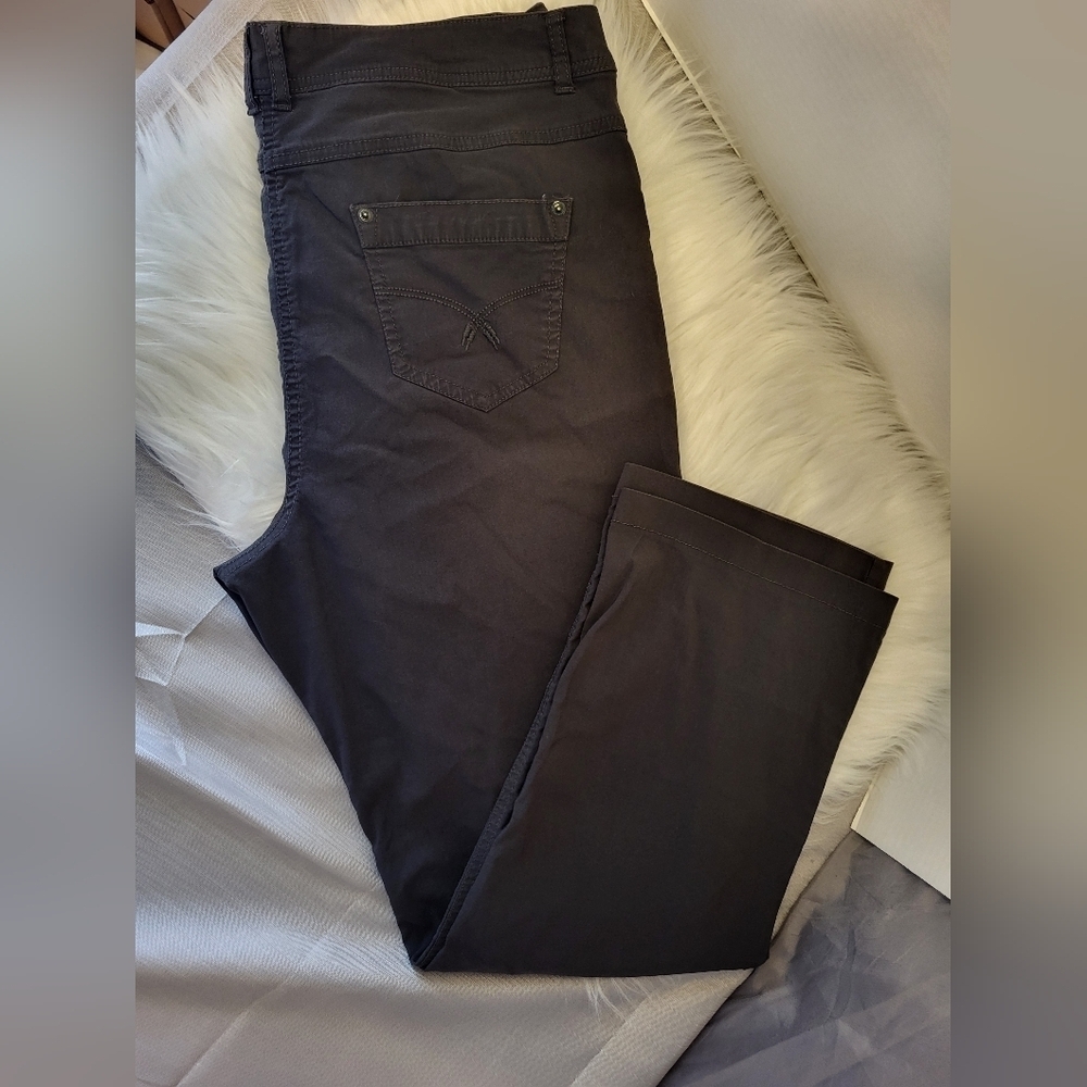 Reitmans Women's Dark Gray Chinos, Size 16 Petites